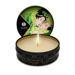 Shunga Mini Vela de Masaje Té Verde | VibraZon