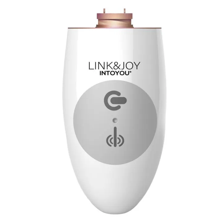 Controller USB de Link&Joy