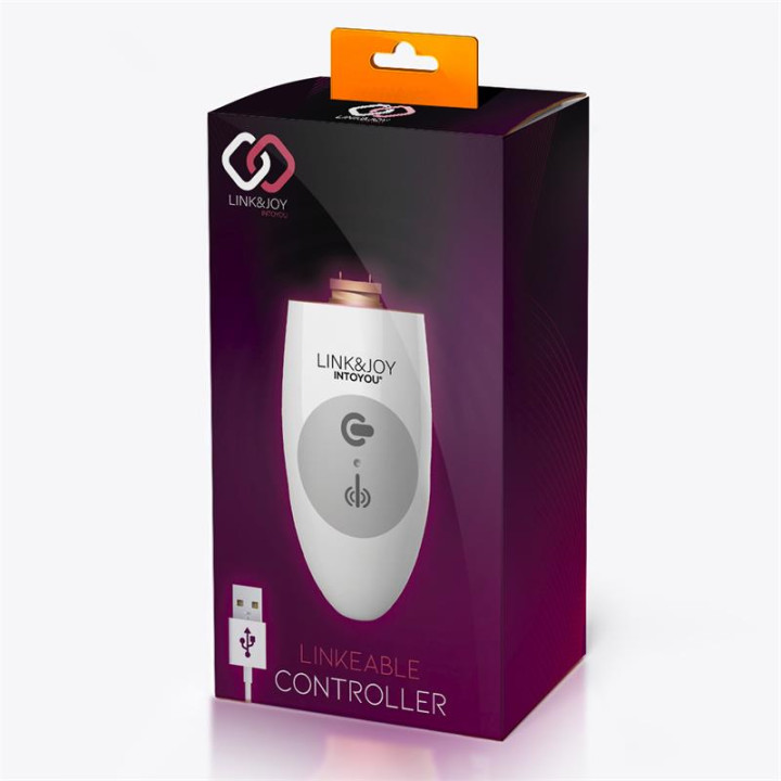 Controller USB de Link&Joy | VibraZon