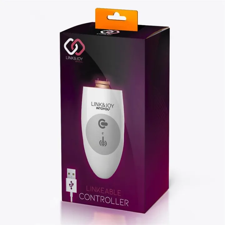 Controller USB de Link&Joy